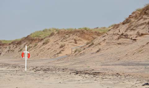 Dunes de sable dans le comté de Halland